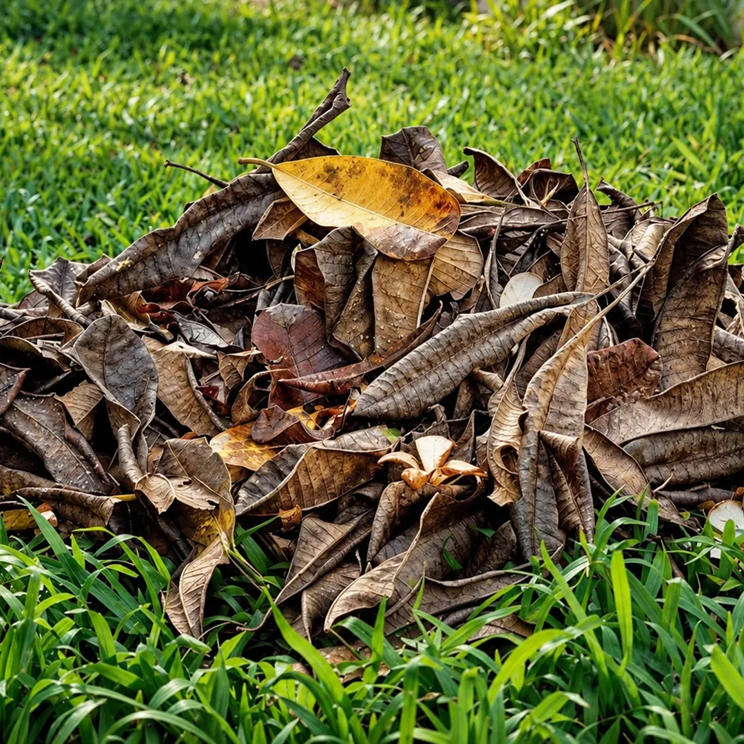 Tumpukan daun kering dan sisa taman di atas rumput hijau